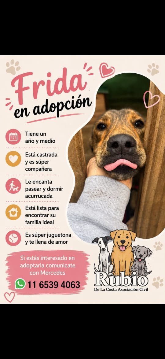 Foto de Frida