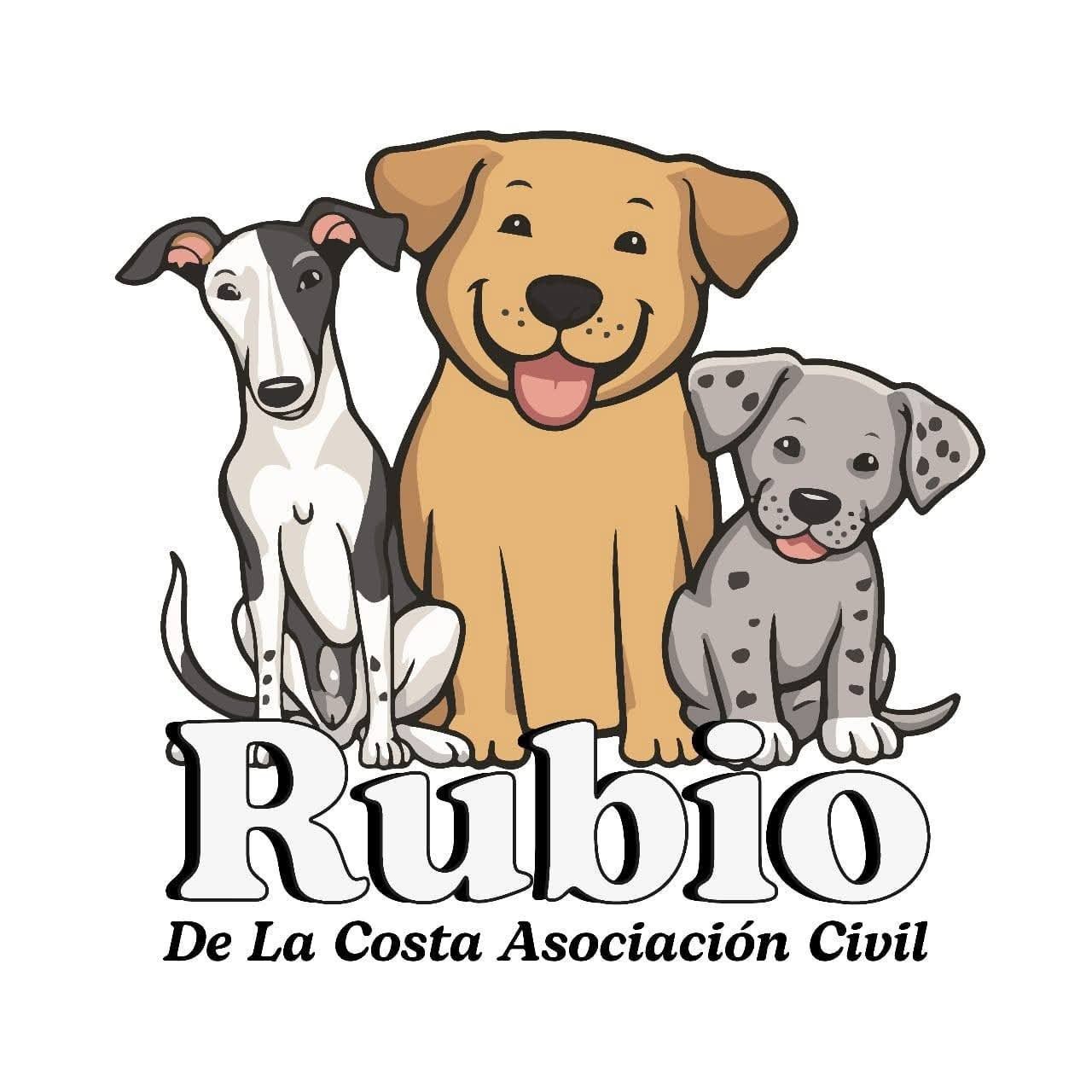 rubio de la costa